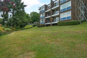 Photo 2- click for photo gallery